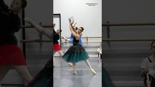 👏🏼 ballerinas ballet ballerina balletdancer dancer dance balletdance viral fyp shorts [upl. by Enitsirhc169]