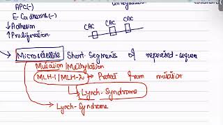 Colorectal Carcinoma from first aid step 1USMLEUrduHindi [upl. by Nwaf]