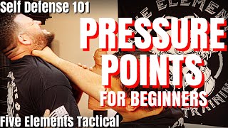 SELF DEFENSE PRESSURE POINTS FOR BEGINNERS  SELF DEFENSE 101  Five Elements Tactical [upl. by Llehsyar339]