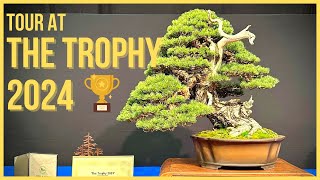 The Trophy 2024 Bonsai Exhibition [upl. by Sydelle218]