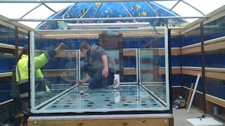 Building a monster aquarium 700gal Unedited [upl. by Jehanna]