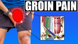 GROIN amp HIP PAIN Best Tests amp Exercises for Hip Flexor Adductor Pubic Symphysis amp Abdominal Pain [upl. by Voorhis907]