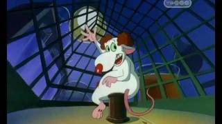 Pinky And The Brain And Larry russian intro П и Б и Ларри [upl. by Andee]