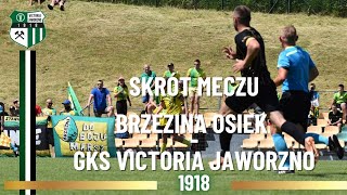 Brzezina Osiek  GKS Victoria Jaworzno skrót meczu [upl. by Jacquenette902]