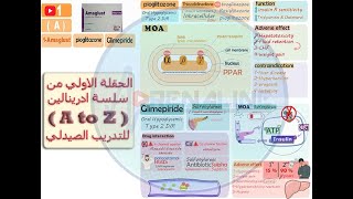 شرح مفصل لدواء  Amaglust  والماده الفعاله  pioglitazone  و  glimepiride  لعلاج مرضي السكر [upl. by Spence]