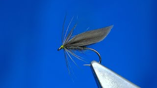 Tying a Waterhen Dun Soft Hackle Wet Fly with Davie McPhail [upl. by Aeirdna]