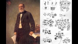 Rudolf Virchow [upl. by Messing]