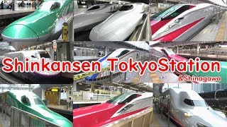 Shinkansen Arrival and Departure japan Tokyo station Bullet train [upl. by Cohligan]