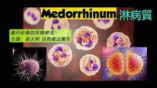 《靈丹妙藥的同類療法》 EP132  淋病質 Medorrhinum [upl. by Fitz488]