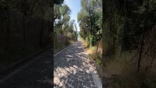 The way of Ponte di Vivara in Procida Island  travel shorts procida nature italy europe [upl. by Eiramasil]