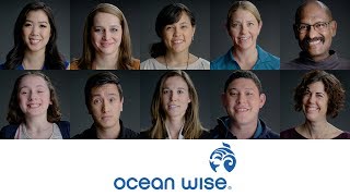 We Are Ocean Wise [upl. by Maziar]