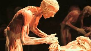 Gunther von Hagens BODY WORLDS Vital at Life Science Centre Newcastle UK [upl. by Claudine331]