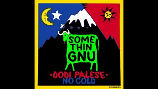 Dodi Palese  No Cold [upl. by Pepe]