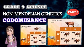 NONMENDELIAN GENETICS CODOMINANCE  GRADE 9 SCIENCE  BIOLOGY [upl. by Nivert]