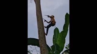 এটা মানুষ নাকি বানরhow monkeys are like humans 2024 [upl. by Epuladaugairam]