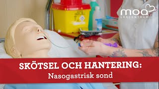 Skötsel och hantering  Nasogastrisk sond [upl. by Remmus]