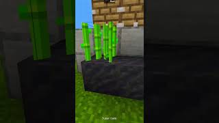 How to make easy Automatic Sugarcane Farm in Minecraft 121 [upl. by Fifine]