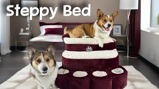 Check out the Steppy Bed This pet steps product is awesome Dog stairs dog ramp pet stairs [upl. by Josefa877]