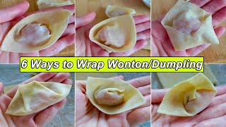 6 Easy Ways to Fold Wonton Wrapper  How to wrap wonton dumplings [upl. by Nyrroc]