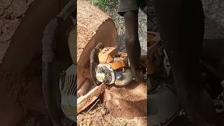 WOOD SPLITTING WITH A CHAINSAW [upl. by Willa522]