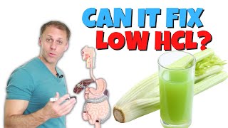 Can Celery Juice Help Low Stomach Acid [upl. by Oibaf]