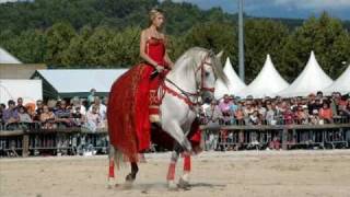 Spectacle Equestre Ibérique Quintero El Magnifico [upl. by Dustan154]