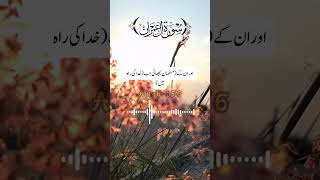 SurahAleImran ChapterFamily of Imran verse 155156 quranrecitation holyquranquran [upl. by Aicnelev]