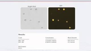 Cellometer Image Cytometry to Detect and Measure GFP Expression Efficiency [upl. by Scarface]