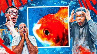 NOT WHAT WE EXPECTED VINCE STAPLES BIG FISH THEORY REACTIONREVIEW [upl. by Ayana]