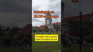 Kahulugan sa ulod sa damgo ulod kahulugansaulodsadamgo nagdamgougulod uod nanaginipngoud [upl. by Geiger]