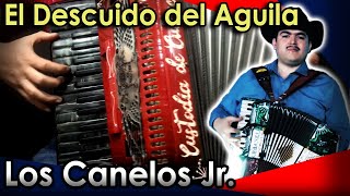 El Descuido del Águila  Los Canelos Jr  Acordeón de Teclas  Piano  Tutorial [upl. by Nalahs]