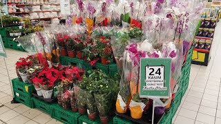 Migros Market 24 Kasım Ögretmenler Gününe Özel Gelen Çiçek Çeşitleri fiyatlari 🌺🌷🌹💐 [upl. by Carroll]