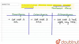 On the basis of cell wall differentiate between parenchyma  collenchyma and sclerenchyma  9 [upl. by Myriam634]