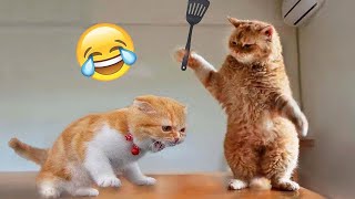 Funniest Cats and Dogs 2024 😹🐶 New Funny Animals Video 😍 Part 10 [upl. by Rosella]