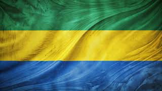 Flag of Gabon  Drapeau du Gabon  Téléchargez gratuitement ou achetez en bonne qualité Fond [upl. by Oliana]