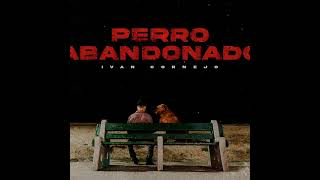 Perro Abandonado  Ivan Cornejo Slowed amp Reverb [upl. by Jehial743]