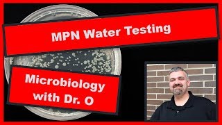 MPN Most Probable Number Water Quality Testing Microbiology [upl. by Akessej557]