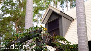 CINEMATIC real estate video at this CHARACTER FILLED residence in Buderim QLD [upl. by Inram217]