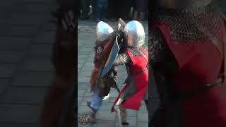 Two Tiny Knight Fighting ❤ historymeme knights funnymemes larp rpg [upl. by Jehius]