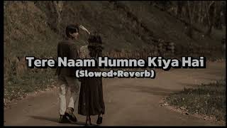 Tere Naam Humne Kiya Hai SlowedReverb Udit Narayan [upl. by Eliades]