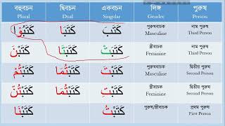 Arabic Language Learning  কুরআনের ব্যাকরণ  Class 8 Part 3 [upl. by Frances]