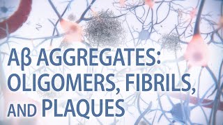 Aβ aggregates oligomers fibrils amp plaques  Alzheimer’s disease  medical animation [upl. by Suirrad]