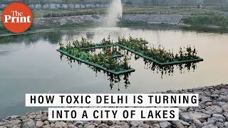 How rejuvenated lakes are recharging groundwater and changing the landscape of Delhi [upl. by Brendis189]