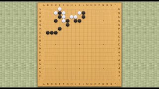 Gokyo Shumyo  Problem 260 Black to Play [upl. by Areem]