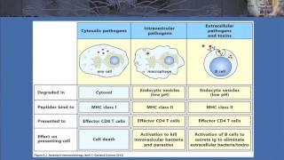 T Cell Ontogeny and Tolerance and the Case of AIRE Deficiency [upl. by Akehsal846]