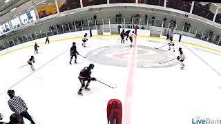 Stettler DZone Faceoff Win and Breakout 1st Period [upl. by Eillit795]