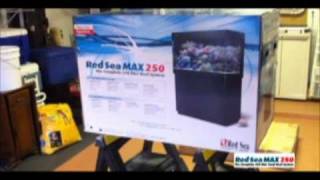 Red Sea Max 250 2 Setup 1 [upl. by Romeo399]