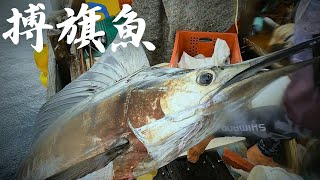 【從海洋到餐桌EP18】滿州純手工補劍旗魚，超沒效率純拚人品的就叫永續漁法。 [upl. by Ingar]