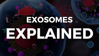 Exosomes EXPLAINED [upl. by Claretta231]