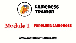 Lameness Trainer Module 1 Forelimb Lameness [upl. by Ynnej706]